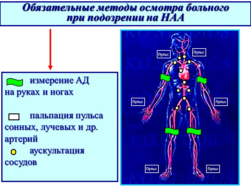 измерение АД  на руках и ногах       